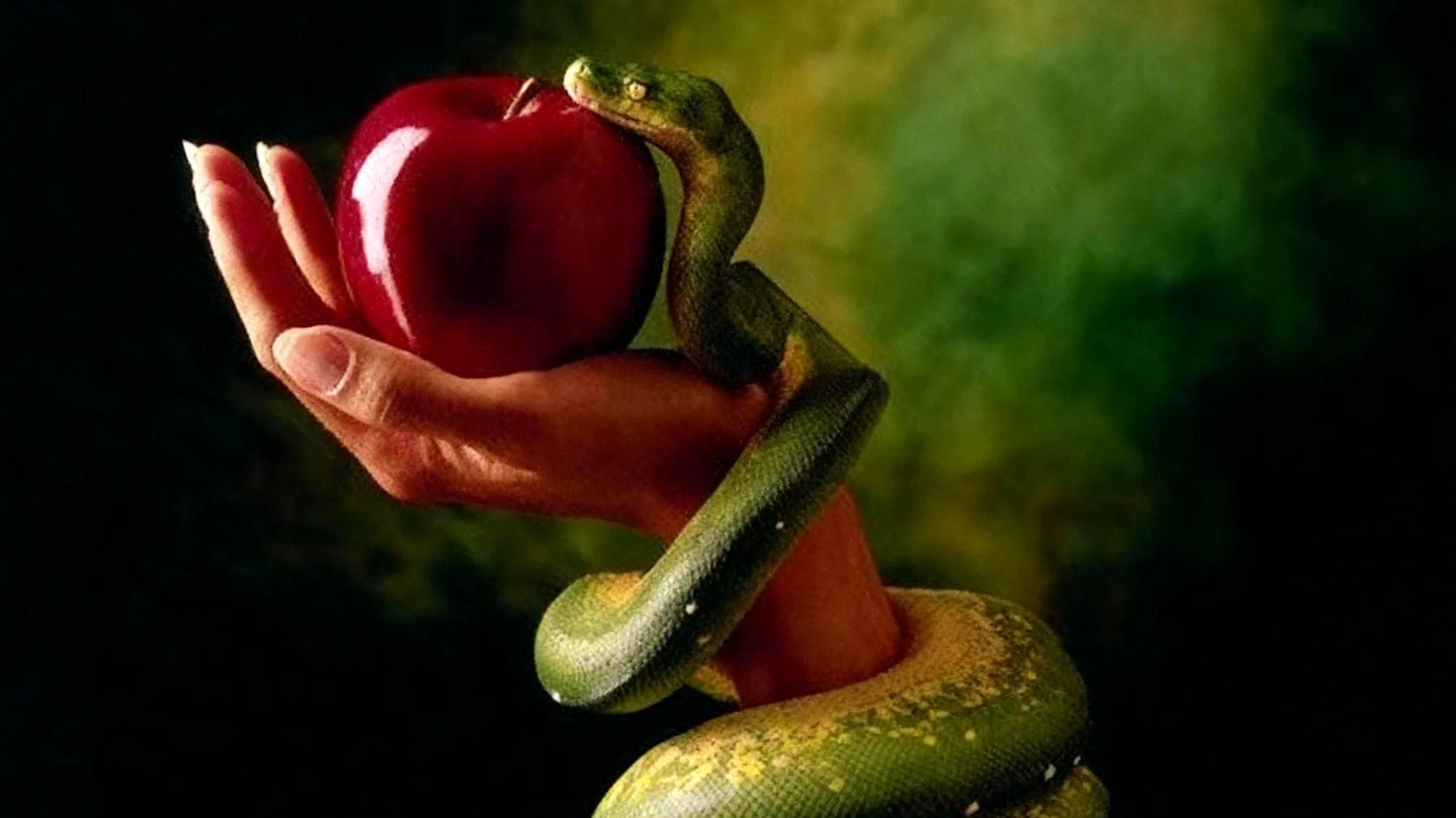 Forbidden Fruit2025-12-15T11:22:58.576Z"