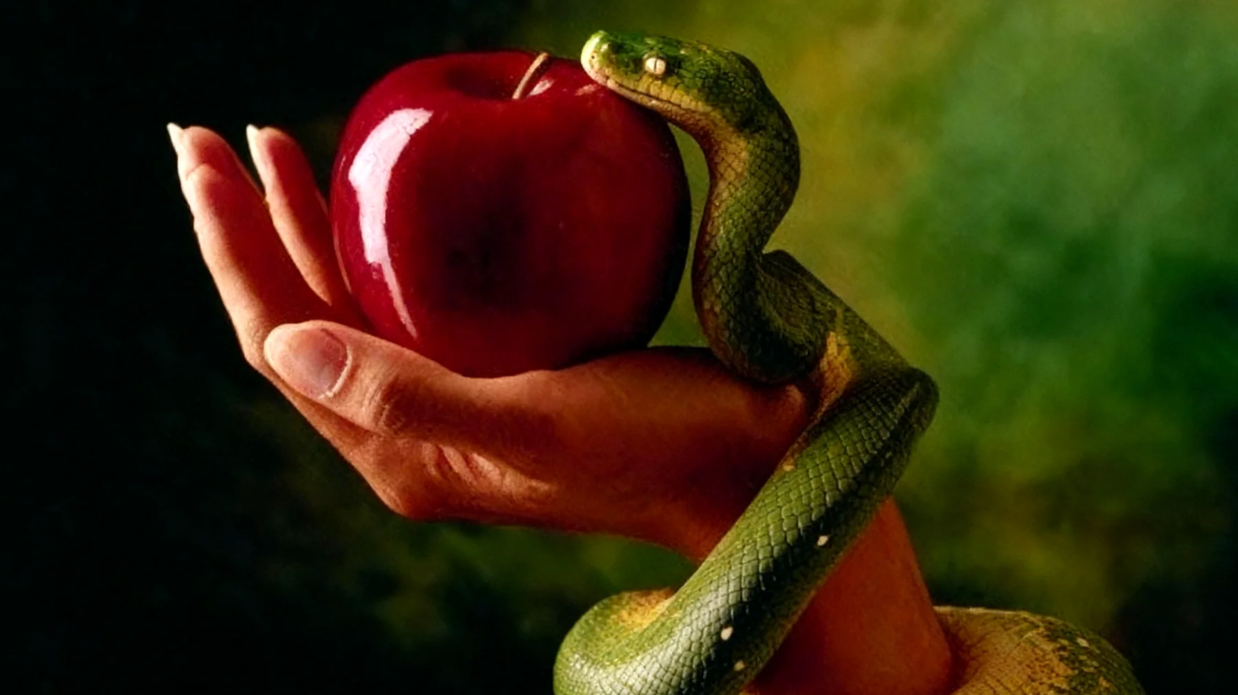 Forbidden Fruit2025-12-28T16:47:51.831Z"