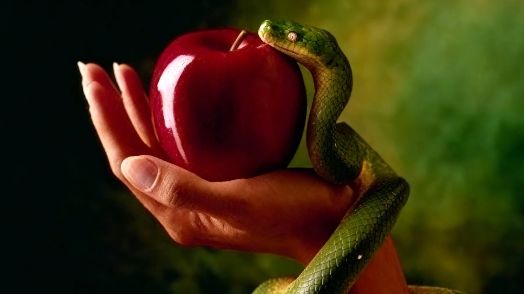 Forbidden Fruit2025-12-30T16:48:23.027Z"