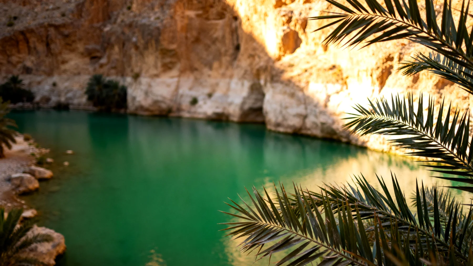 Wadi Shab"