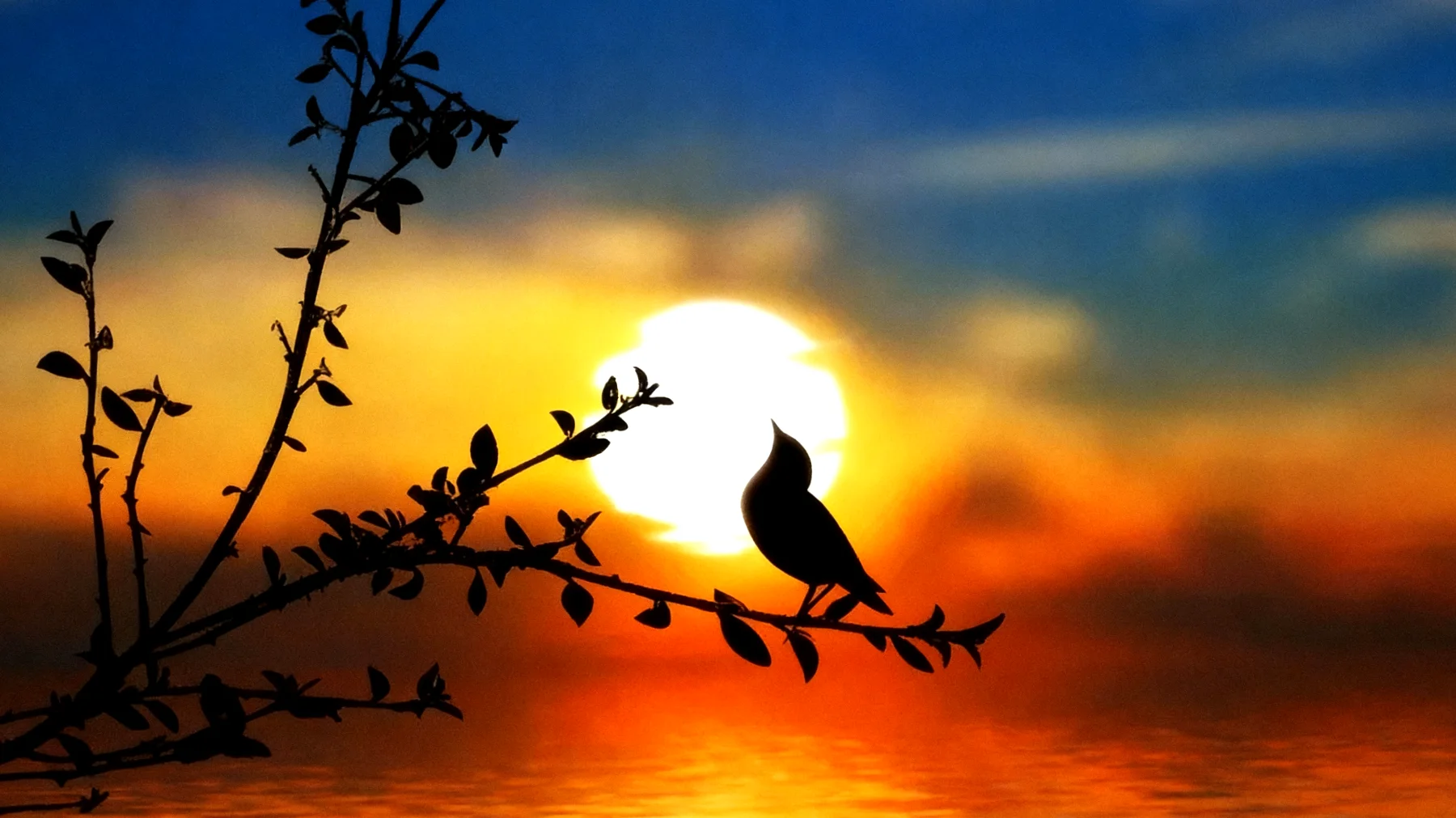 Beautiful 2026-01-16T16:32:18.153Z"