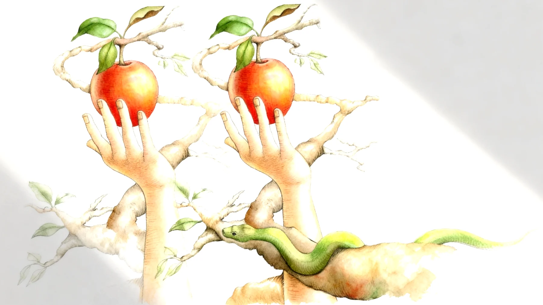 Forbidden Fruit2026-01-01T16:53:19.619Z"