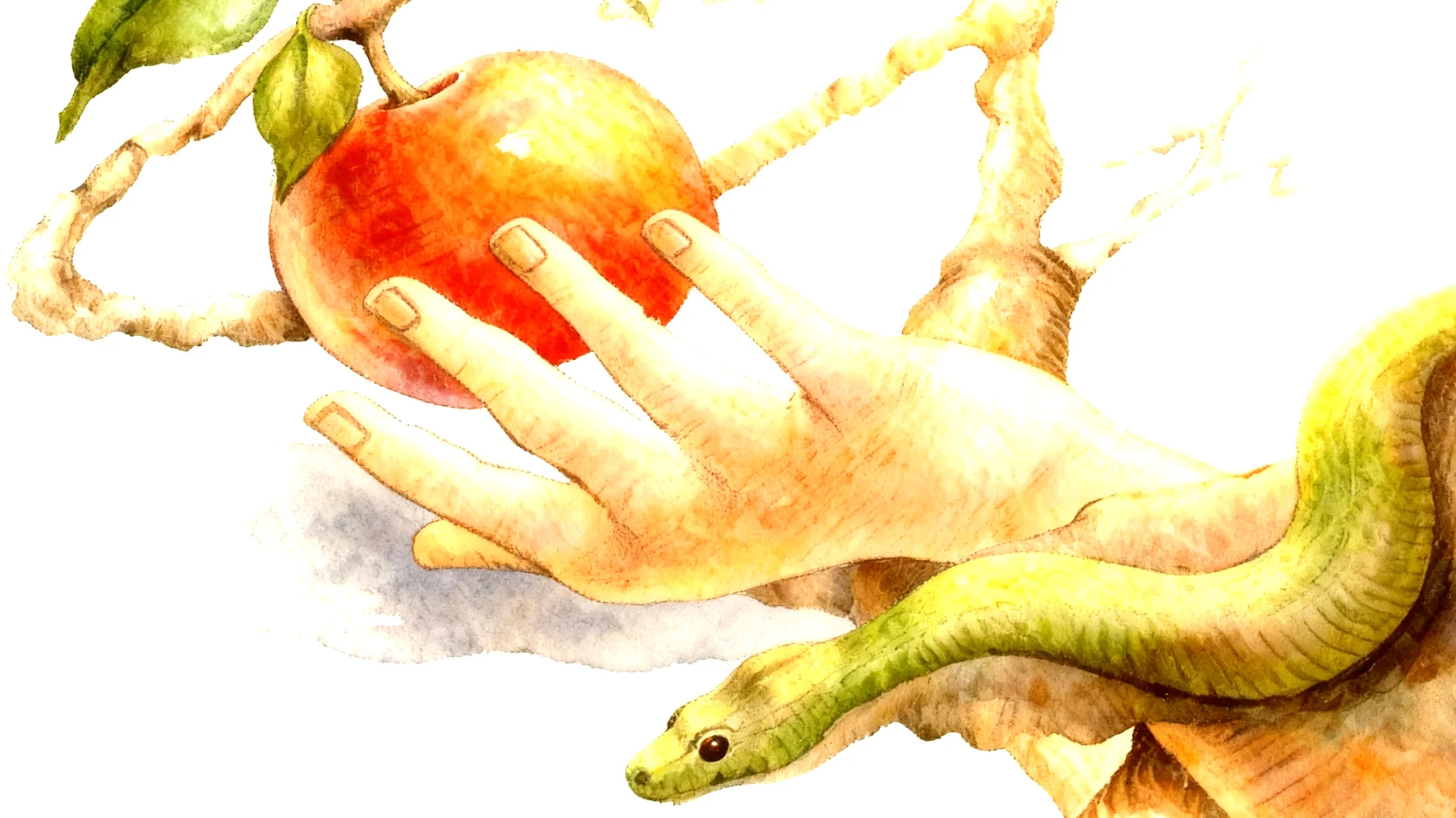 Forbidden Fruit2026-01-04T16:52:26.587Z"