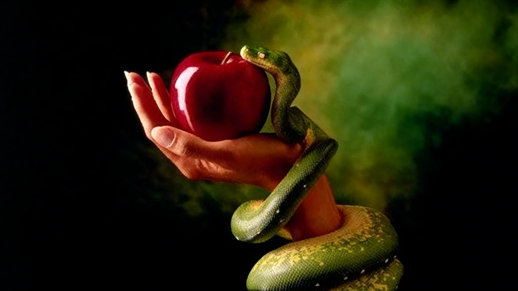 Forbidden Fruit2026-01-14T16:58:19.855Z"