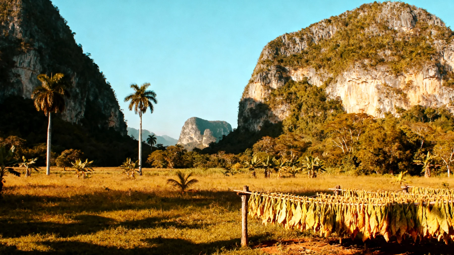 Parque Nacional Viñales"